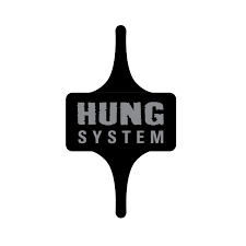 Hung System