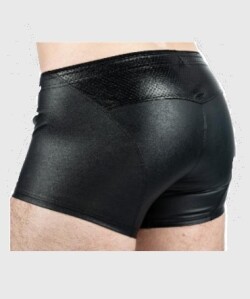 Elwoy Shorts CH 809 LS 90 2