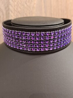 Collar Paarse Strass Nekstrass Paars