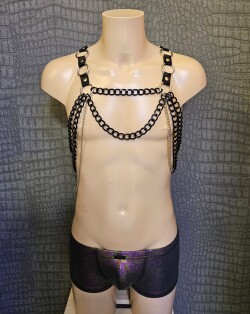 Kettingen Harnas Tuig08 zwart-zilver 1