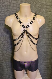 Kettingen Harnas Tuig08 zwart-zilver 6