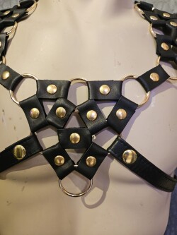 Leren Harnas Sch17 4