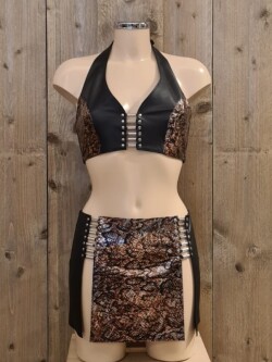 Set Rok & Top Shine T88-R39