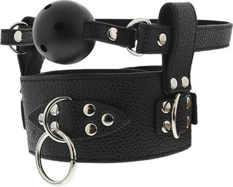 Ball Gag & Collar 21362