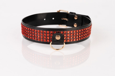 Strass Collar Breed KS-001-16