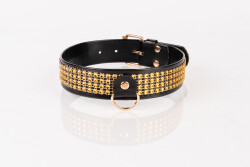 Strass Collar Breed KS-001-16 2