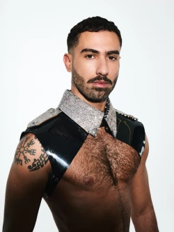 Schouderharnas Arnold 23-82201 2