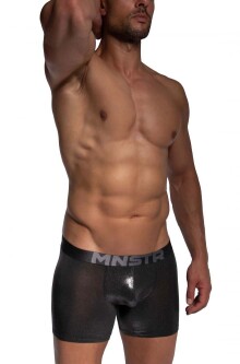Hip Boxer 2485 2-12799 2