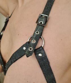 Latex Harnas BH Snake melb-05 3