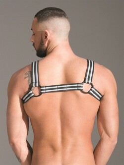 Bulldog harness 348770 2