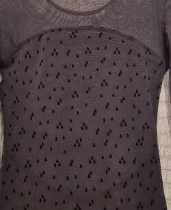 Transparante Jurk sample-domenie 2