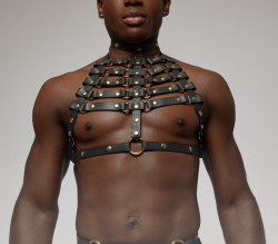 Skeleton Harnas r2p-3015 8