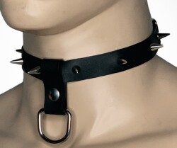 Spiked Collar R2P-5003