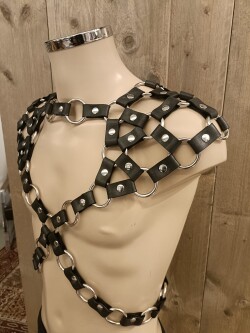 Twin Shoulder Harnas r2p-3007